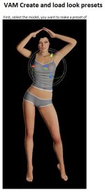 VAM Create and load look presets Part01.JPG