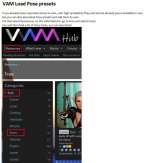 VAM Load Pose presets Part01.JPG