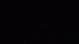PwalkP-.gif