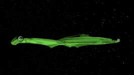 Cruiser 3.jpg Cruiser 3.jpg