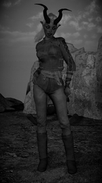 1740069533.png