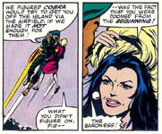 barnoss disguise.jpg