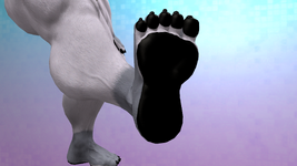 promo14.png