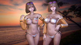 VaM 2025-08-01 17-35-36.png