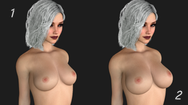 Body Presets.png