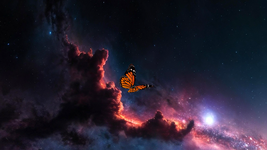 Butterfly Heaven.png