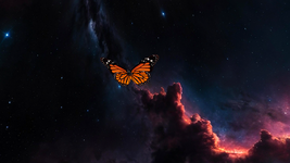 Butterfly Heaven 3.png