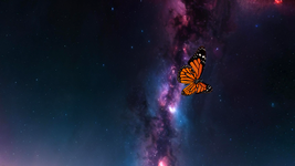 tterfly Heaven 5.png