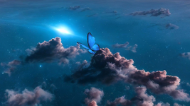 Butterfly Heaven 7.png