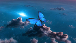 Butterfly Heaven 11.png