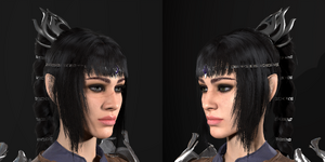 Shadow Heart close 2.png