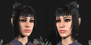 Shadow Heart close 1.png