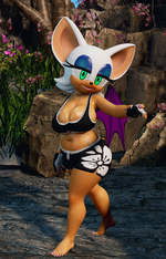 RougeWorkout.png