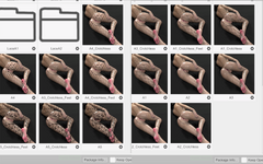 lace presets.png