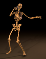 Skeleton Grup 002.png
