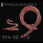 Preset_TEN-02-1-P2.jpg