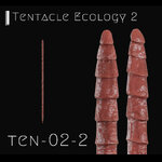 Preset_TEN-02-2.jpg