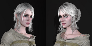 Ciri close 2.png