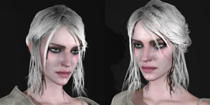 Ciri close 1.png