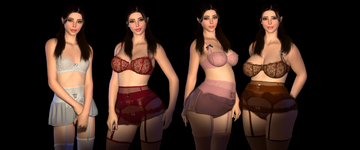 Sibel_Overview.png