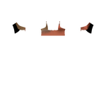 G2F_Torso_example_area.png
