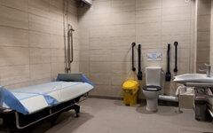 50s_realrooms_Toilet_wit_bed1.jpg