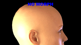 craniumflat.gif