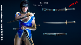 CZ HH S2 SW 01.png