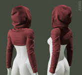 crop-hoodie-4.jpg