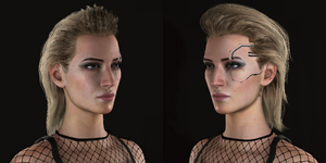 stacked_images_4000x2000 (3).png