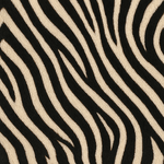 Zebra.png