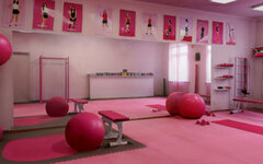 PinkGym3.jpg