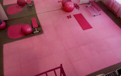 PinkGym5.jpg