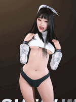 Shibumi 1.gif Shibumi 1.gif