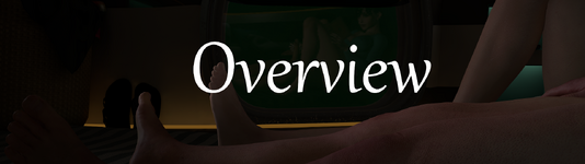 capsule overview.png