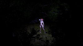 Screenshot 2026-02-18 191501.png