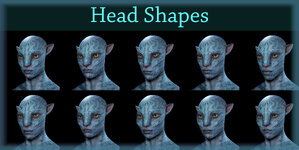 Navi head Shapes.jpg