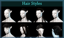 naviHairStyles.png