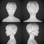 Hairstyle Banner.png