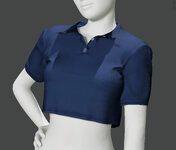 CropPoloShirt2.jpg