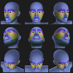 facial-topology-main.png