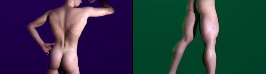 muscmorphs2.png