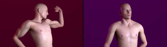 muscmorphs1.png