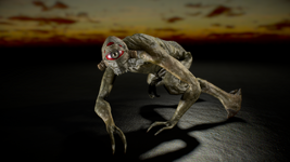 55 (4).png