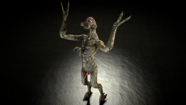 55 (5).png