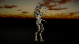 55 (7).png