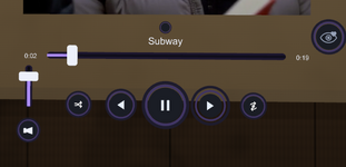 playerpro_controls.png