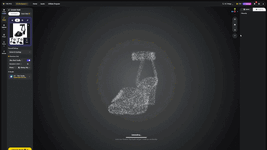 Shoe.gif