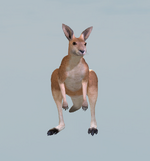 26l4DkpE7K.png