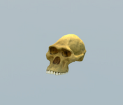 NYGQFdLl6n.png